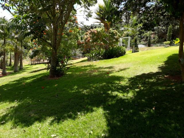 Marechal Floriano - sitio a 6 km da cidada - Foto 12