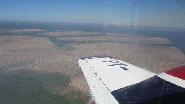 Fazenda em Balsas - Foto 5