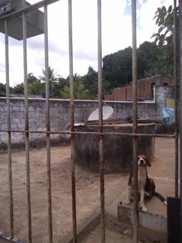Casa ÓTIMO LOCALIZAÇÃO Várzea Fria - Foto 3