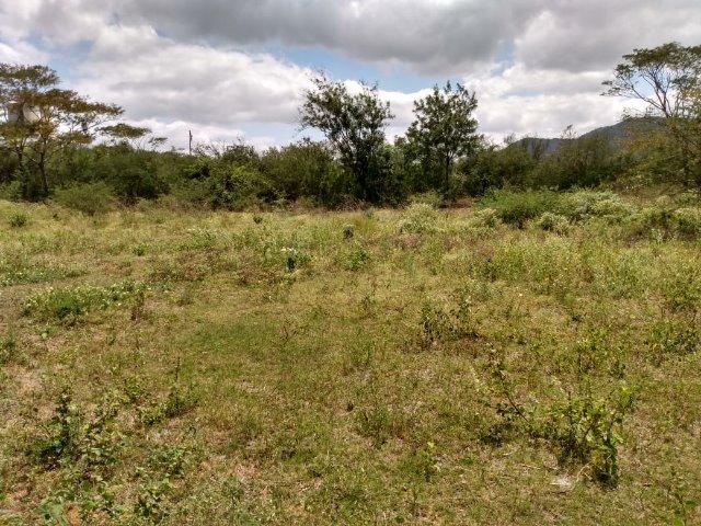 Vendo uma excelente área no bairro da Gameleira da Sede em Campo Formoso / Ba. - Foto 8