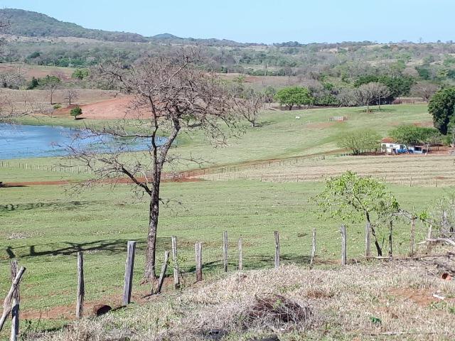 Fazenda em Campo Grande 4mil hectares!! - Foto 19