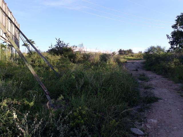 Ótima área com 4.4 hectares, em Caruaru-PE. Vende-se completa ou em partes.Aceita trocas! - Foto 14