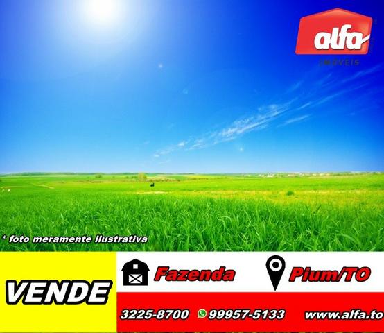 Fazenda - Pium/TO