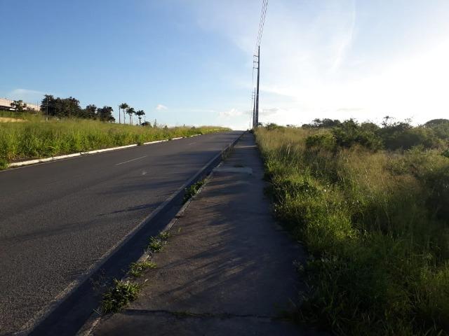 Ótima área com 4.4 hectares, em Caruaru-PE. Vende-se completa ou em partes.Aceita trocas! - Foto 17