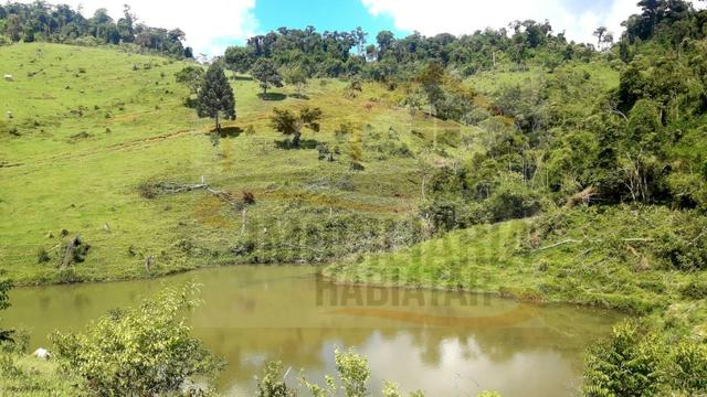 Fazenda de 100 alqueires paulistas, Campina Grande do Sul / PR - Foto 17