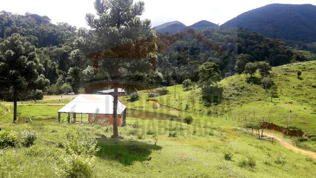 Fazenda de 100 alqueires paulistas, Campina Grande do Sul / PR - Foto 5