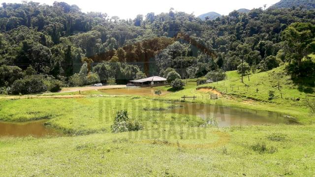 Fazenda de 100 alqueires paulistas, Campina Grande do Sul / PR