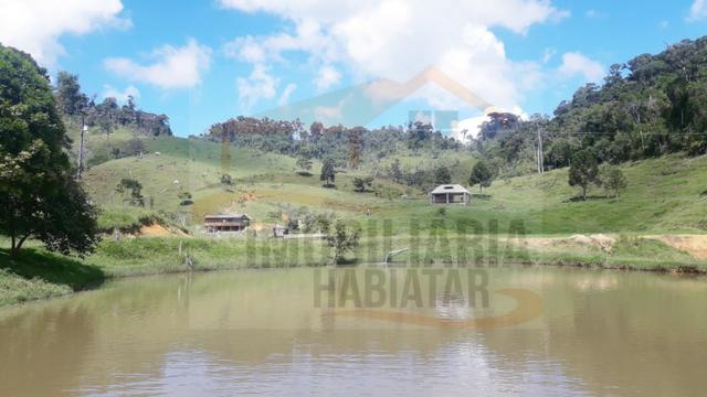 Fazenda de 100 alqueires paulistas, Campina Grande do Sul / PR - Foto 6