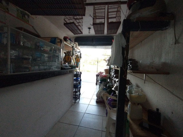 Repassar loja de ração - Foto 2