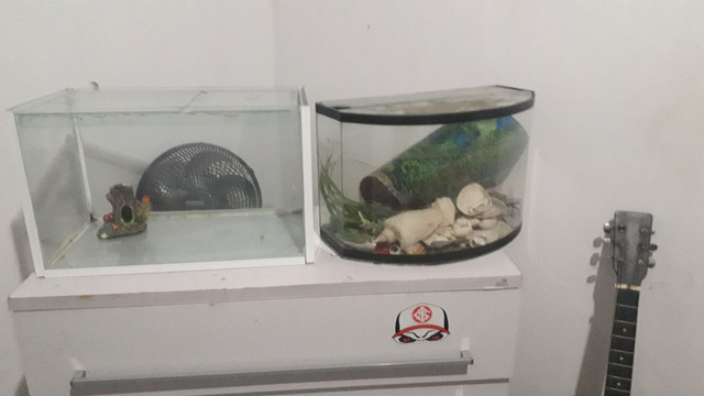 Troco os dois por um aqua maior, o branco tem 45L o outro quase isso tb
