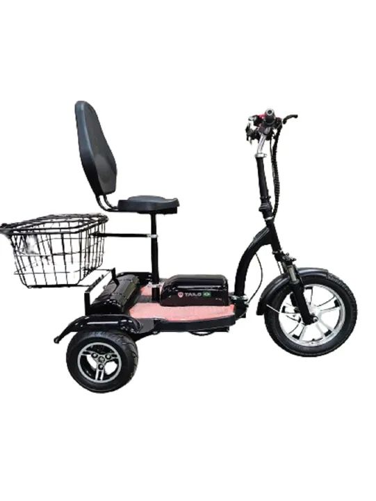 Triciclo Elétrico 500W ( Com Diferencial )  