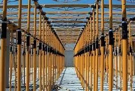 Escora 2Mx3,10M Padronizada - Foto 3