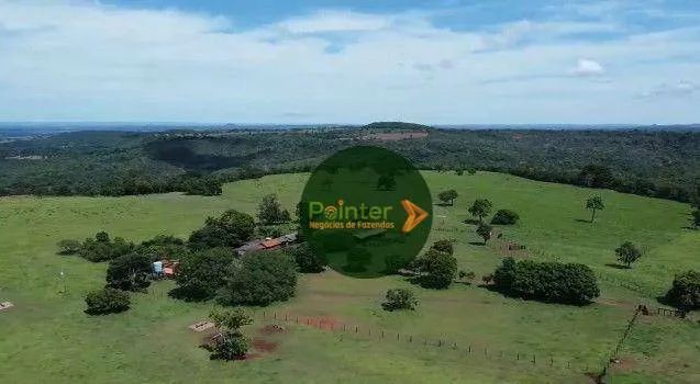 Fazenda à venda, por R$ 150.000.000 - Zona Rural - Figueirão/MS - Foto 2
