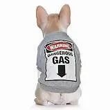 Moletom para Cachorro "GAS"