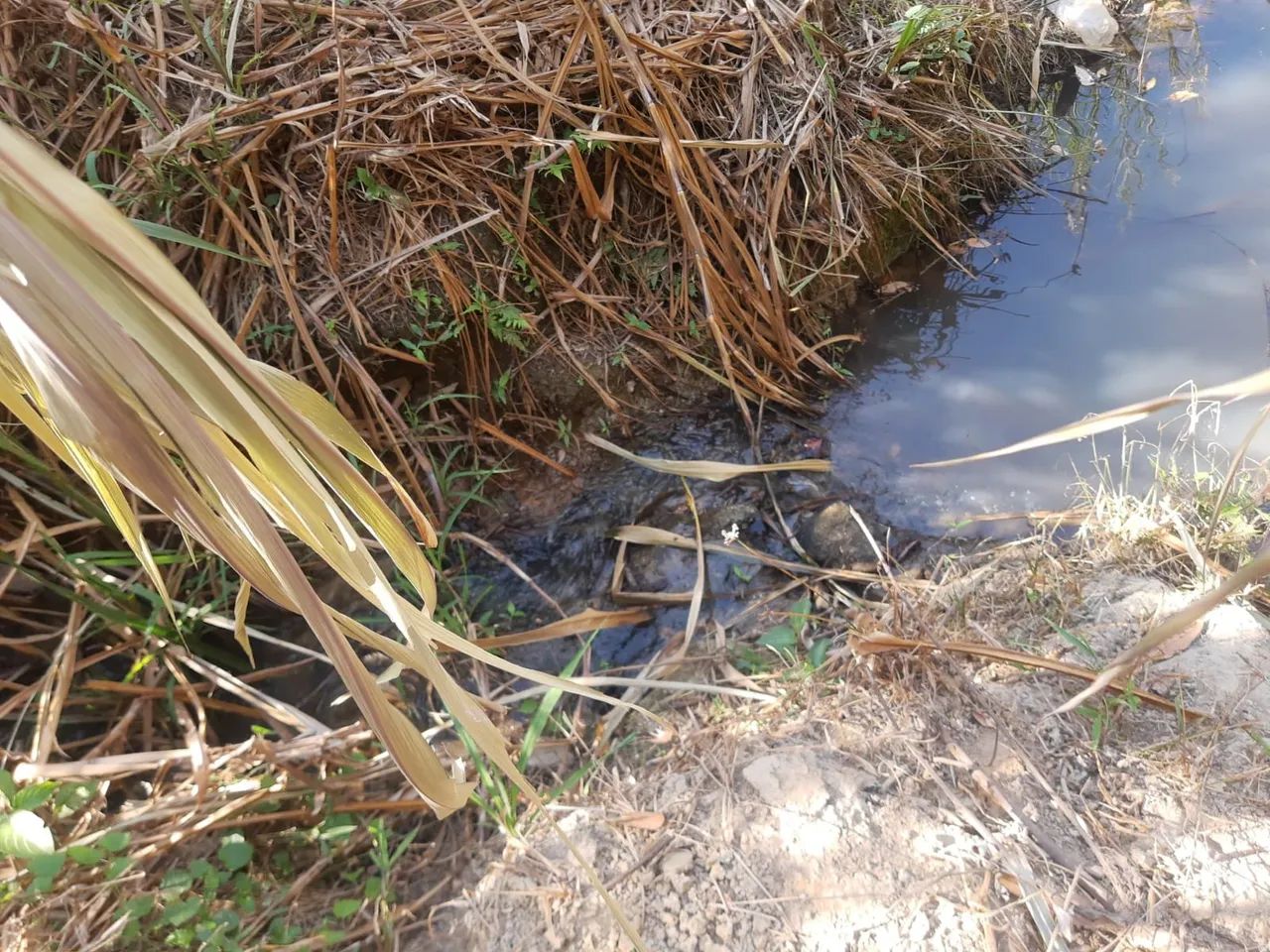 Lote/Terreno para venda possui 6301 metros quadrados em Residencial Boa Vista - Senador Ca - Foto 5