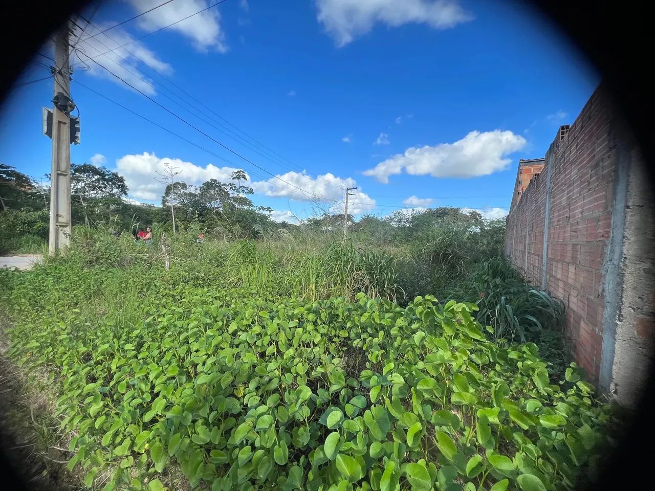 Lote no luar de Lagarto - Lagarto [43]