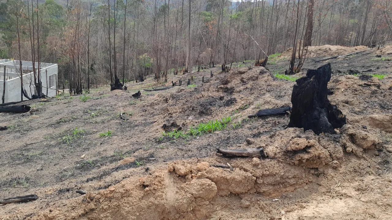 Terreno de 3.200 mt
