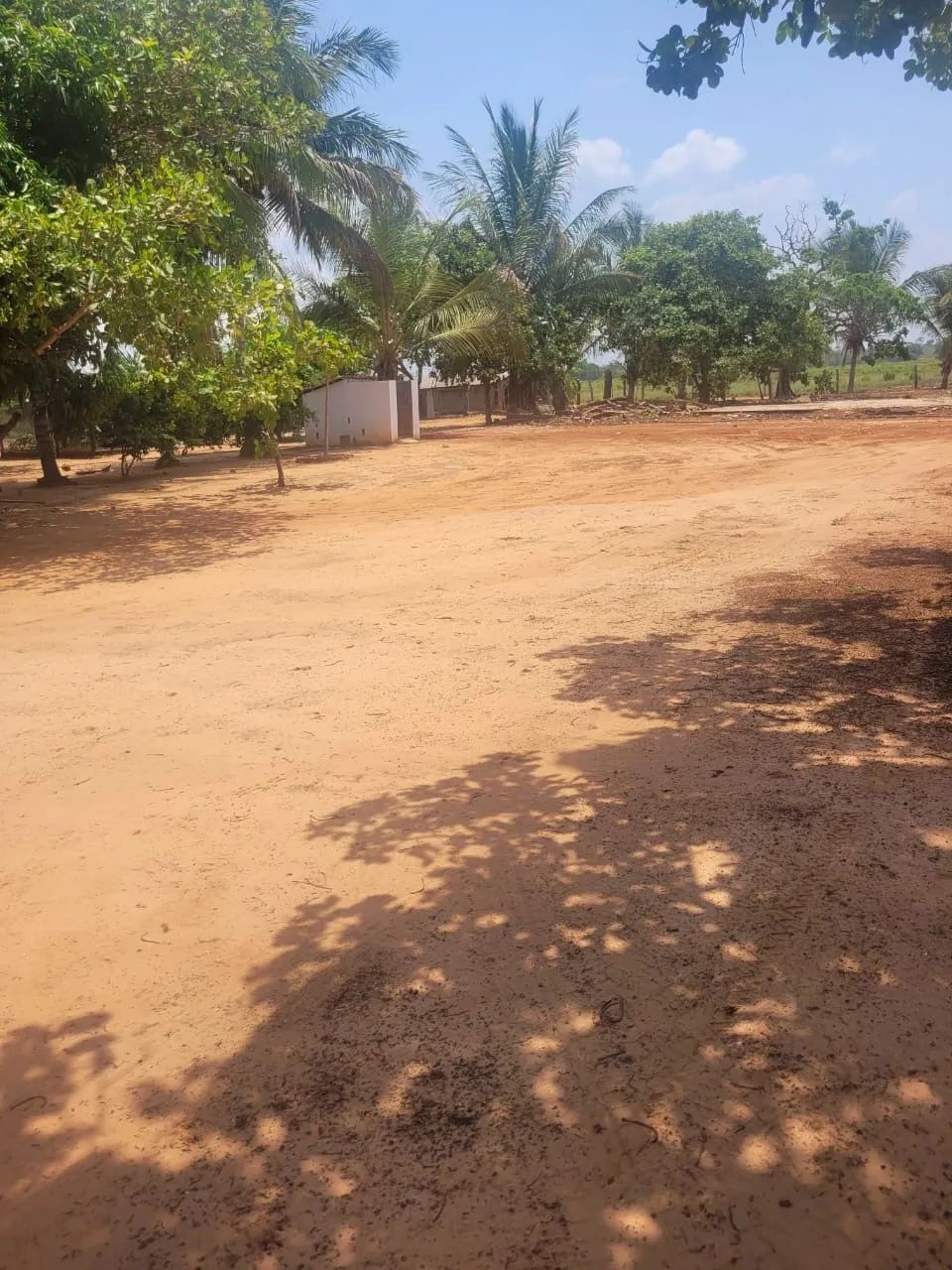 Fazenda município Nova Olinda Tocantins com 138 Alqueires - Nova Olinda - TO - Foto 4
