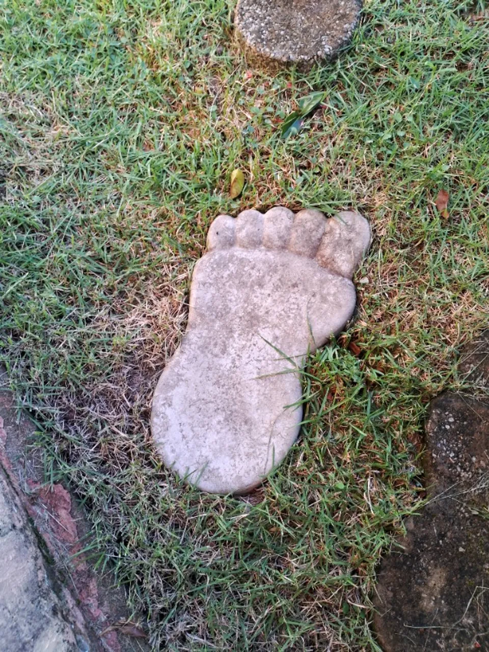 Pés de cimento para jardins