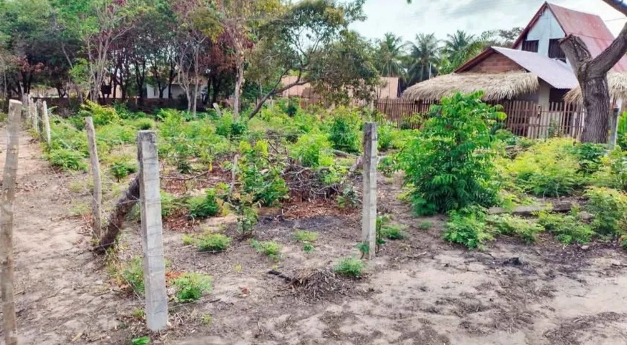 Oportunidade em Fortalezinha - Maiandeua - Foto 5