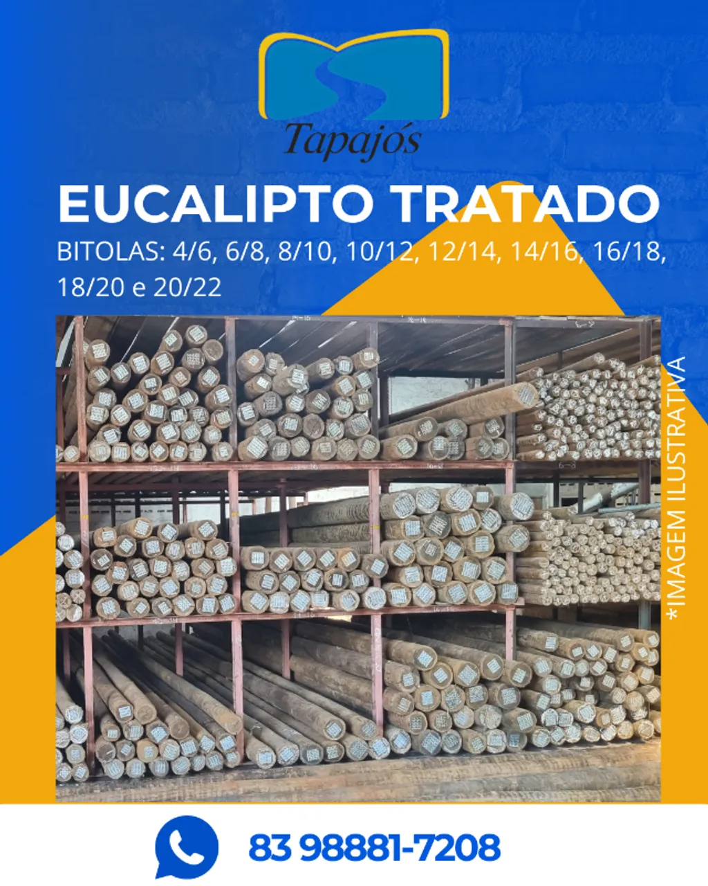 Eucalipto Tratado na Tapajós Madeiras
