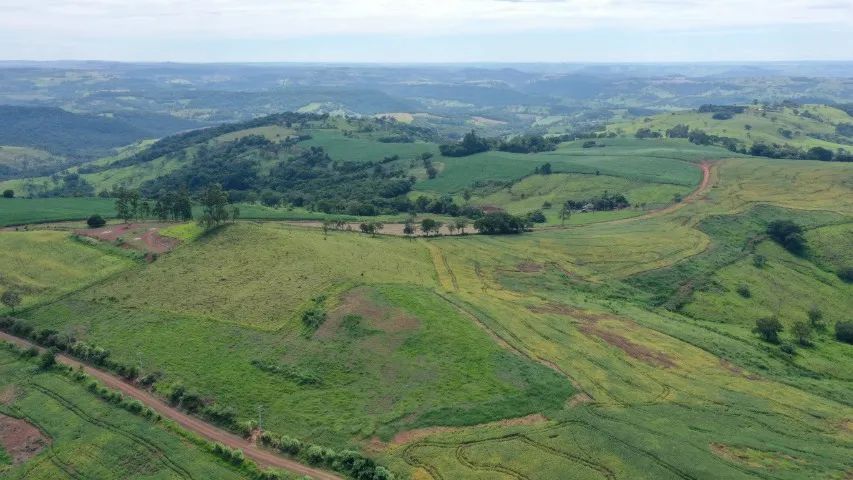 Fazenda lavoura/pecuária - Foto 3