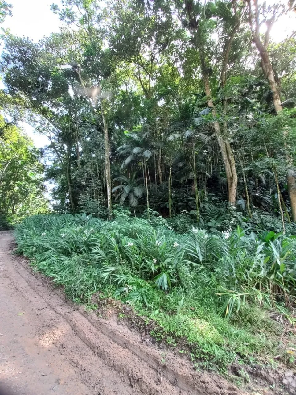 Terreno rural