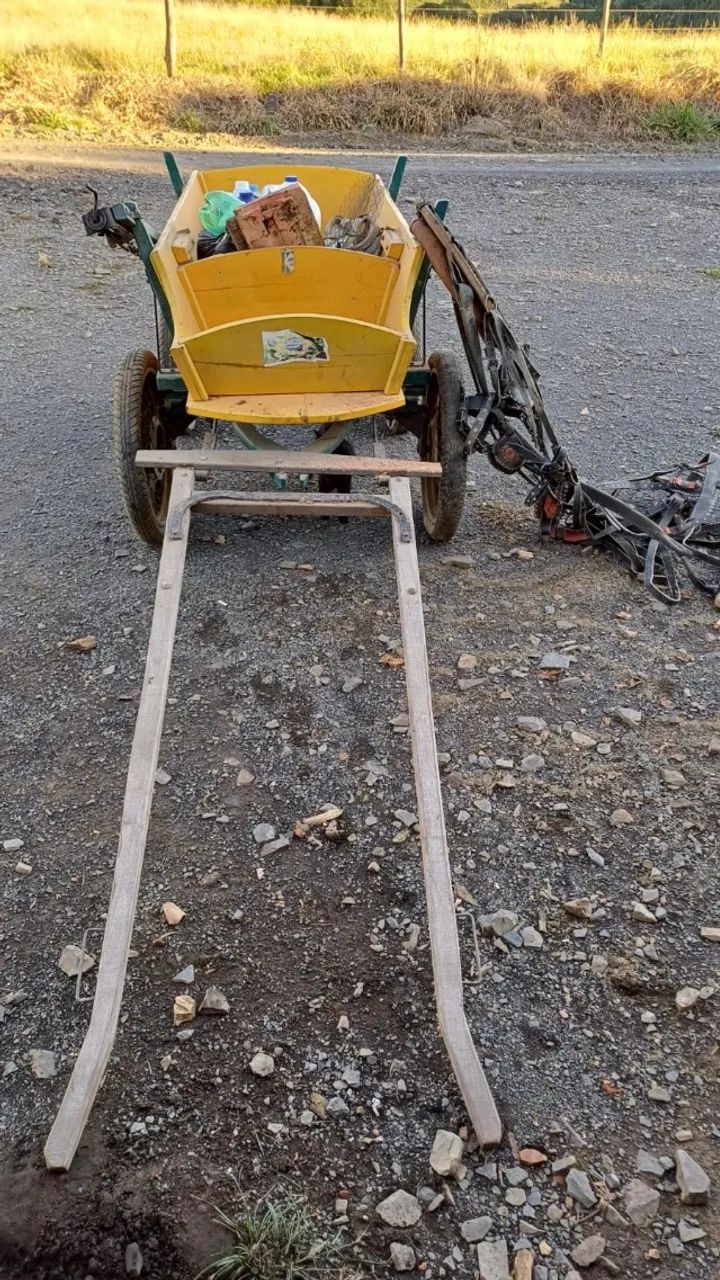 Vendo carroça para pônei - Foto 2