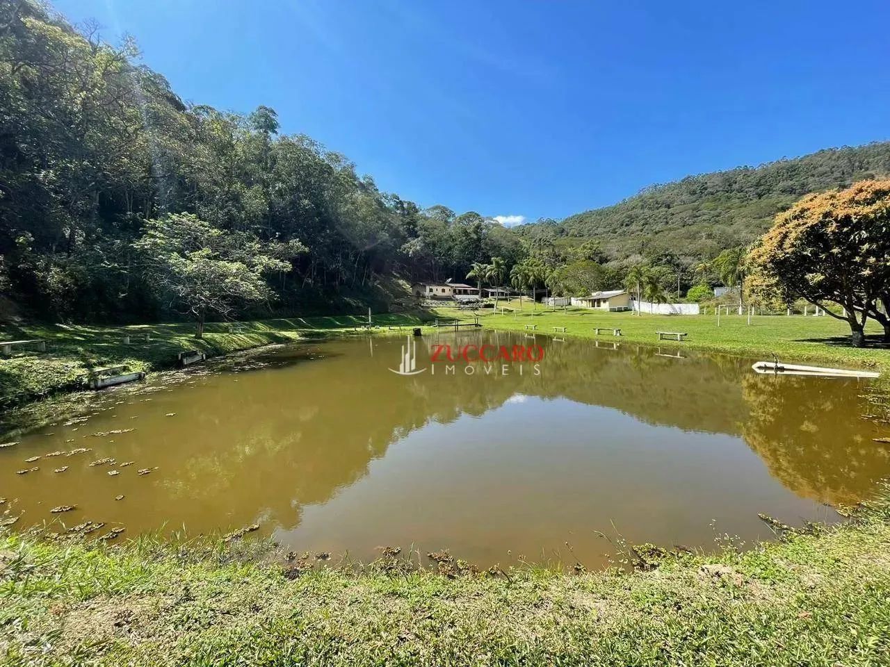 Sítio com 5 dormitórios à venda, 24000 m² por R$ 1.280.000,00 - Cachoeirinha - Bom Jesus d - Foto 5