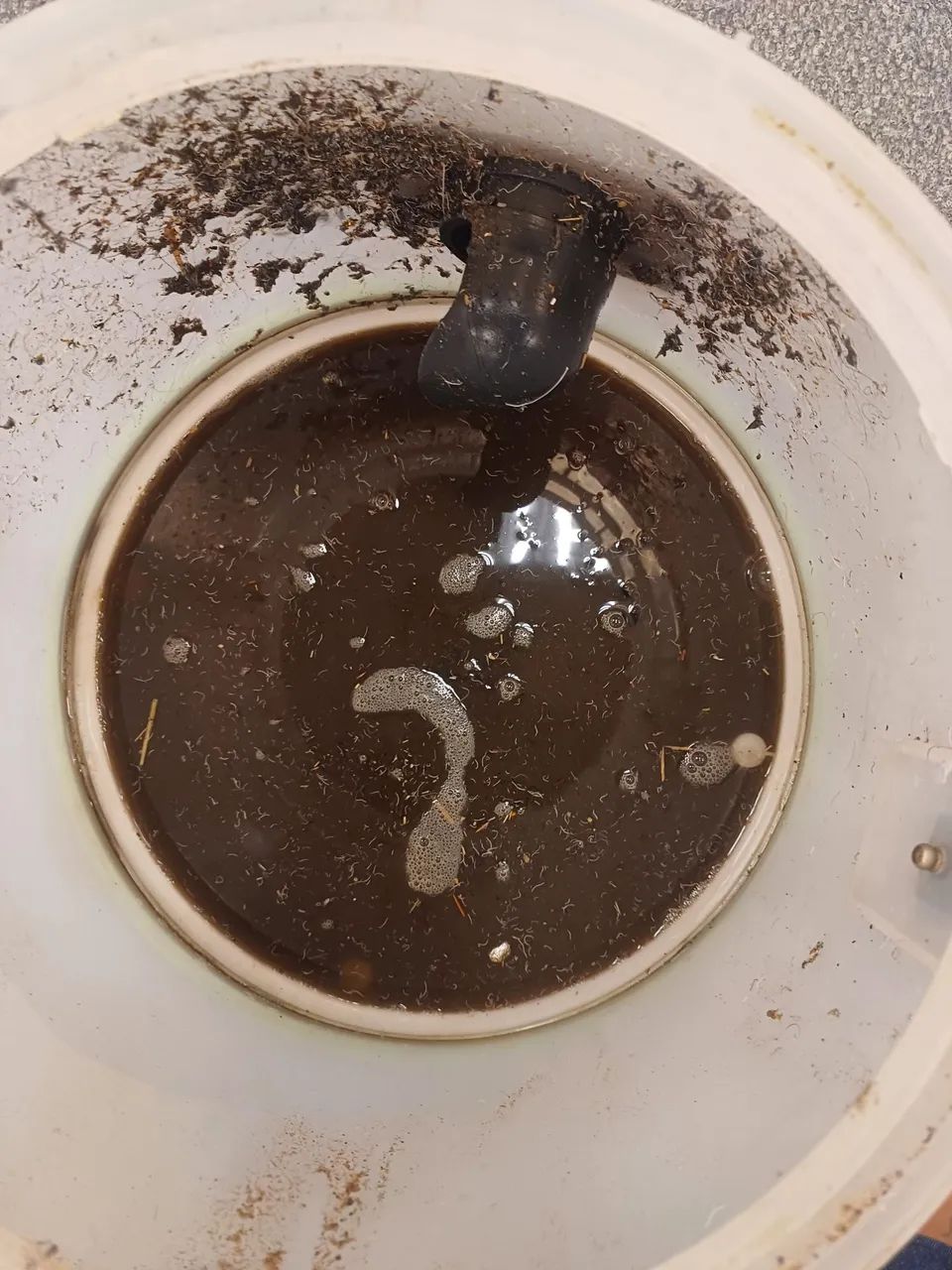 Limpeza de estofados ! - Foto 2