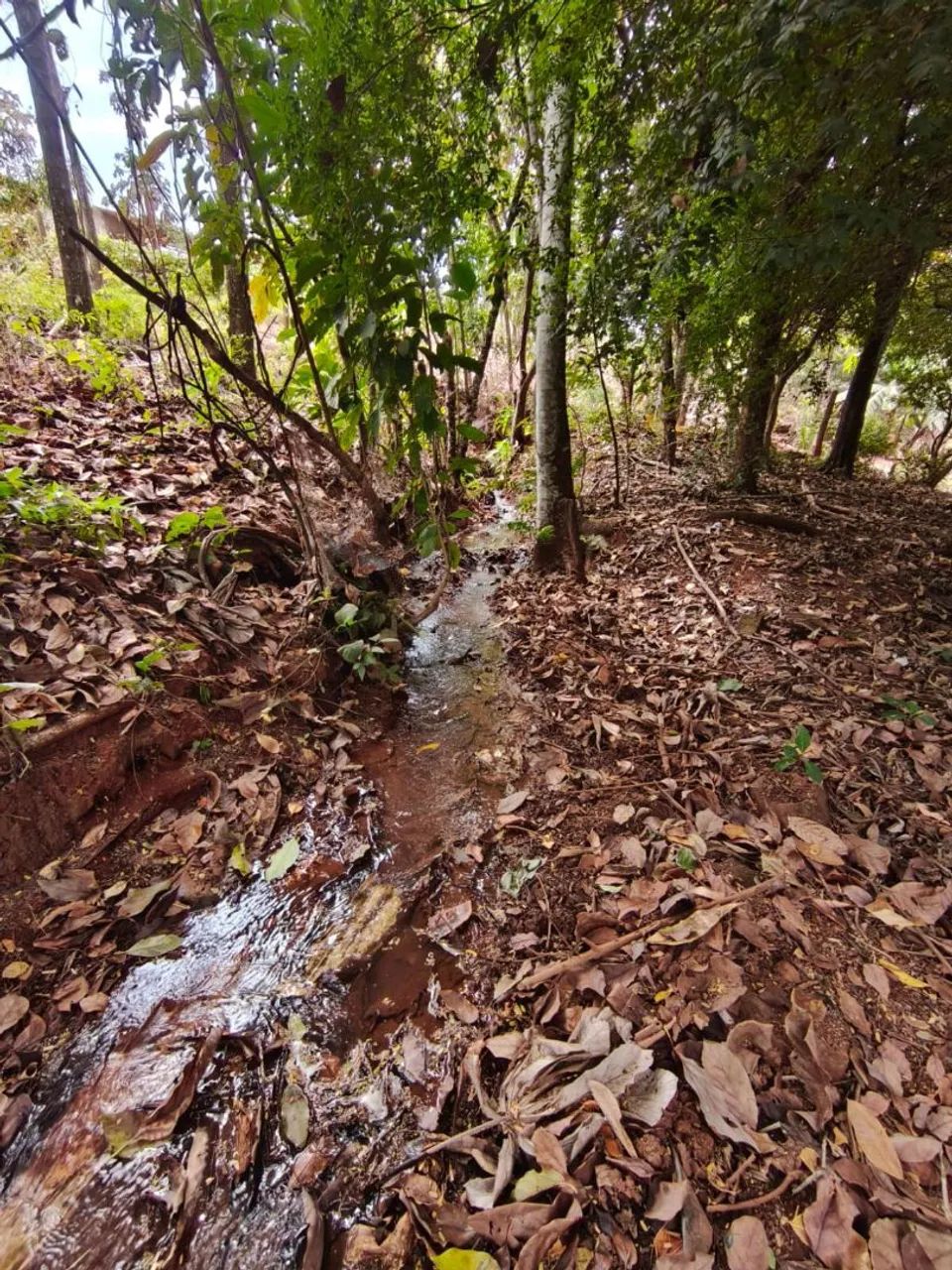 Chácara de 2.738 m²  com córrego e Rêgo D'água  - Foto 5