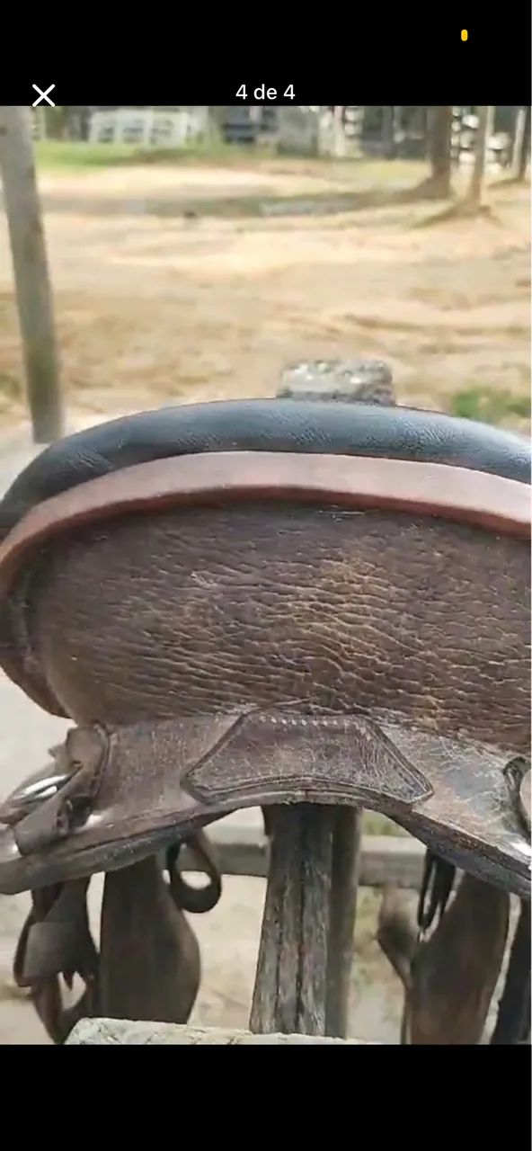 Sela de pista  - Foto 2