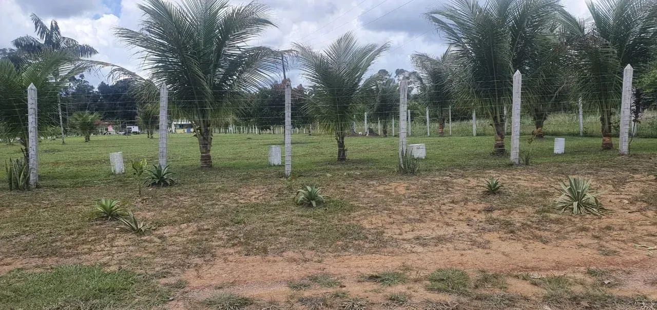 Vendo Sítio na AM-010 KM 53/ Com Piscina e Casa com 3 Suítes - Foto 5