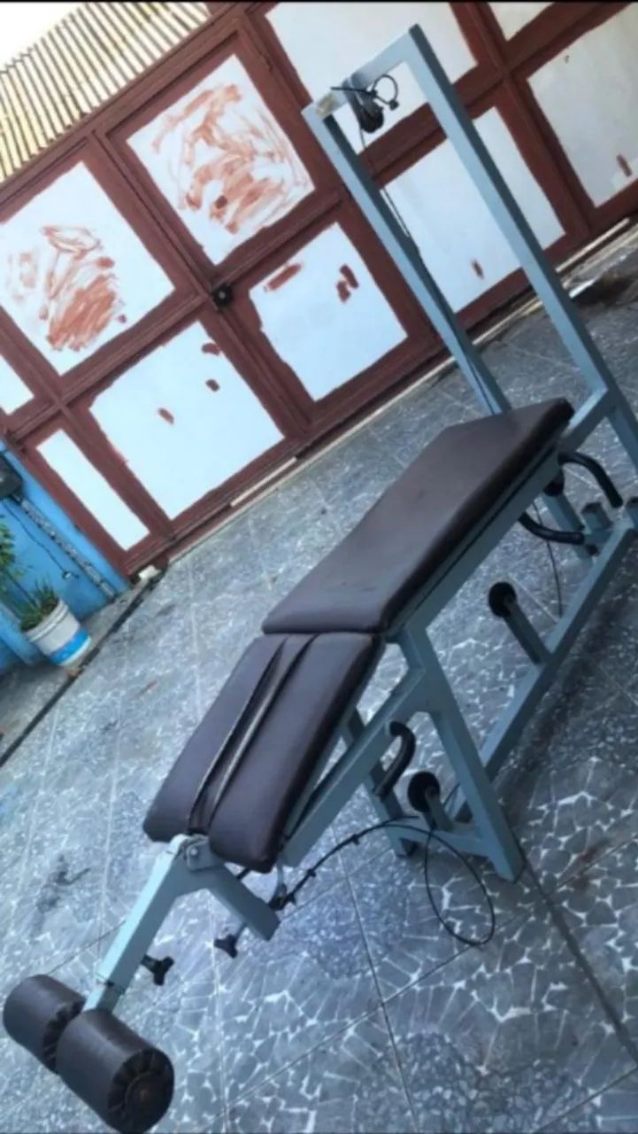 Mesa flexora
