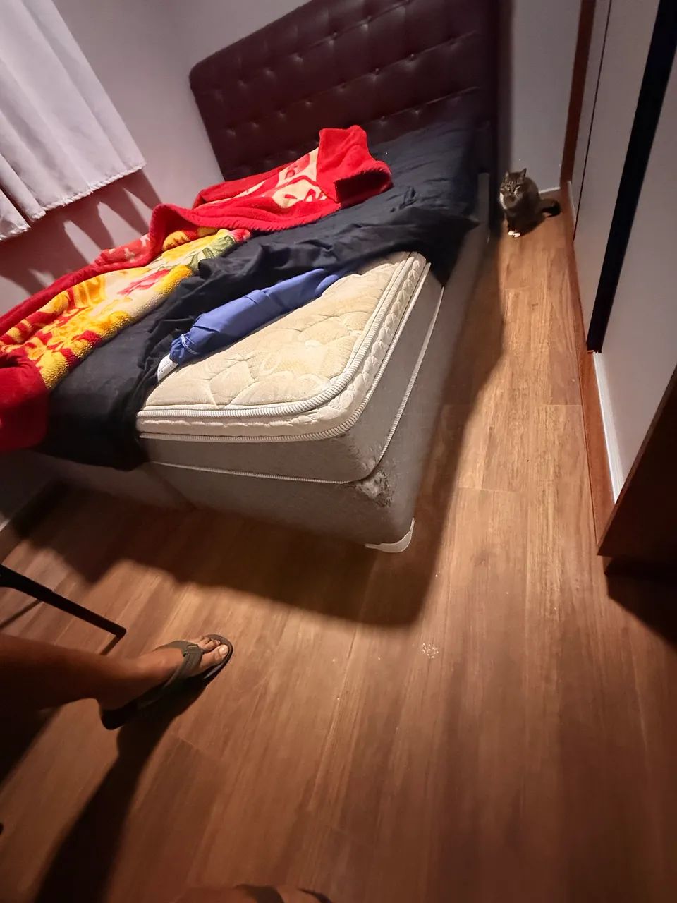 CAMA QUEEN + COLCHÃO DE MOLAS ENSACADAS + CABECEIRA ? R$ 650 - Foto 2