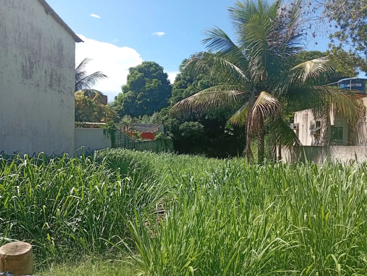 Foto - Armação dos Búzios - Rasa