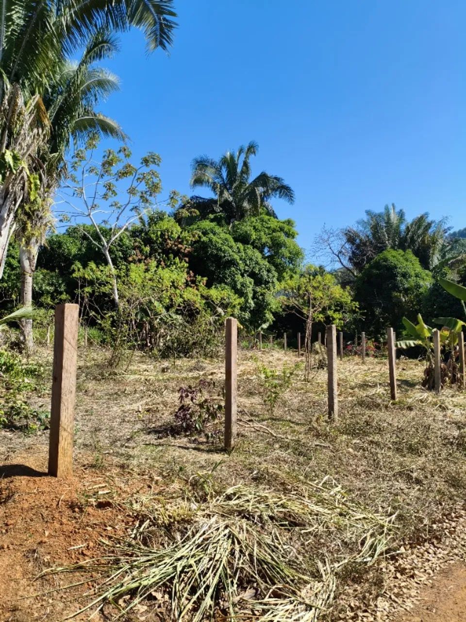Lote de esquina  - Foto 2