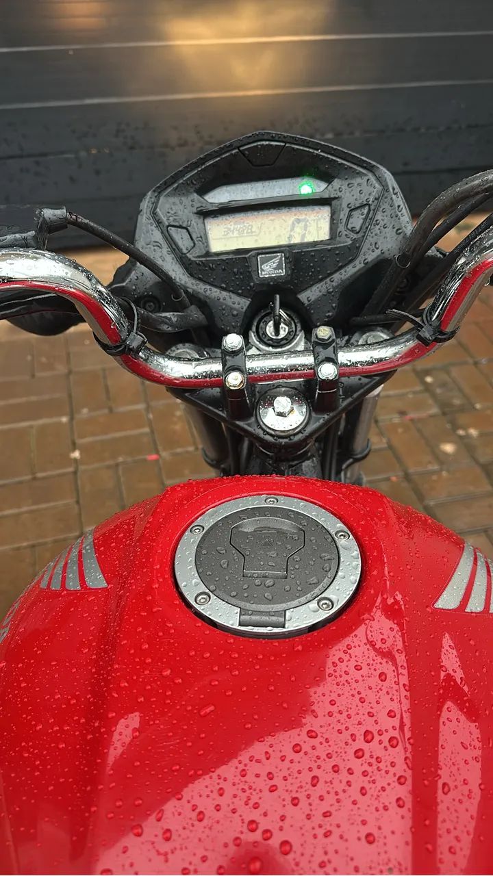 Fan 2018 - Foto 2