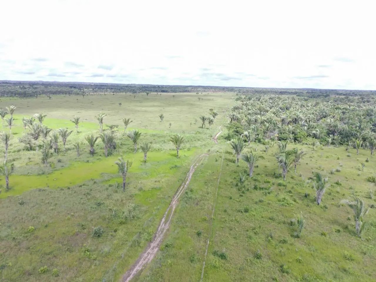 FAZENDA Á VENDA -TURILÂNDIA/MA codigo: 370853 - Foto 3