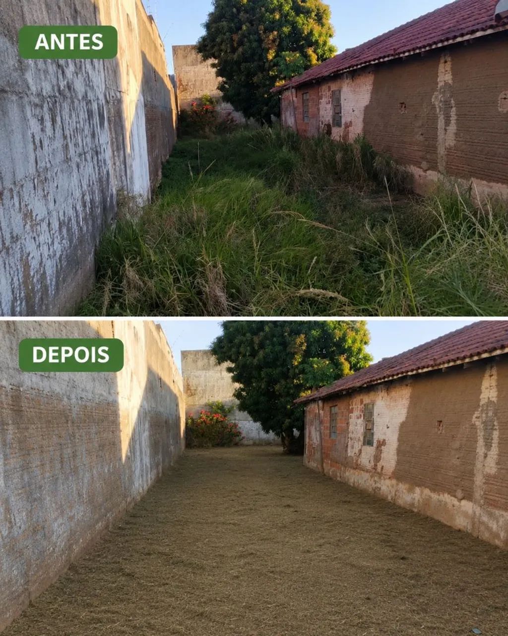Prestação de Serviços de Jardinagem - Foto 3