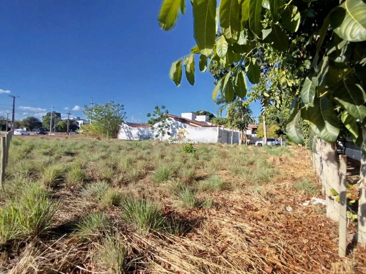 Lote|Terreno 676 m² - Plano Diretor Norte - Centro - Foto 3
