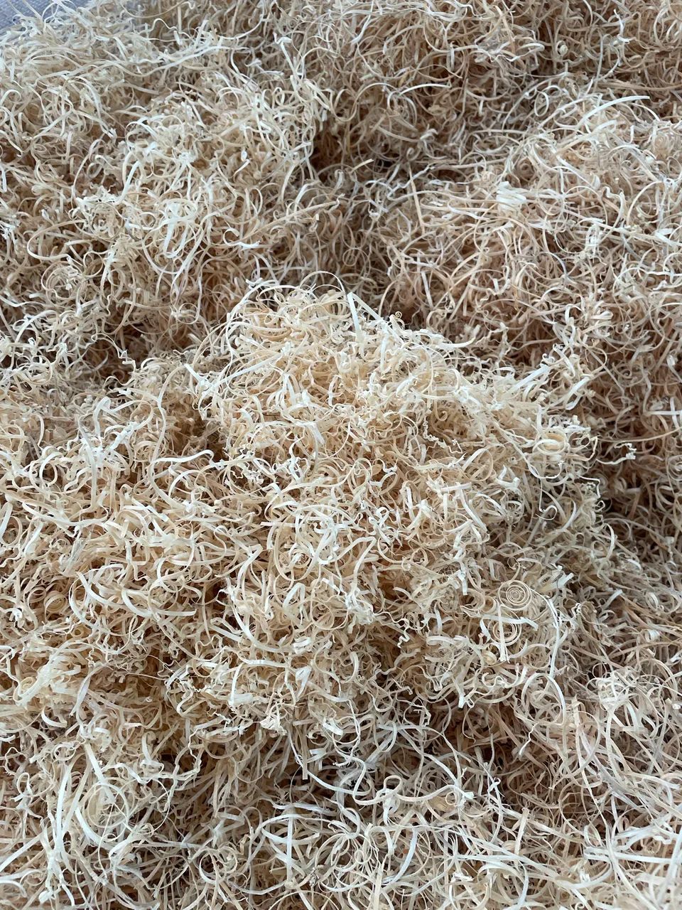 REFUGO DE PALHA DE PINUS - Foto 2