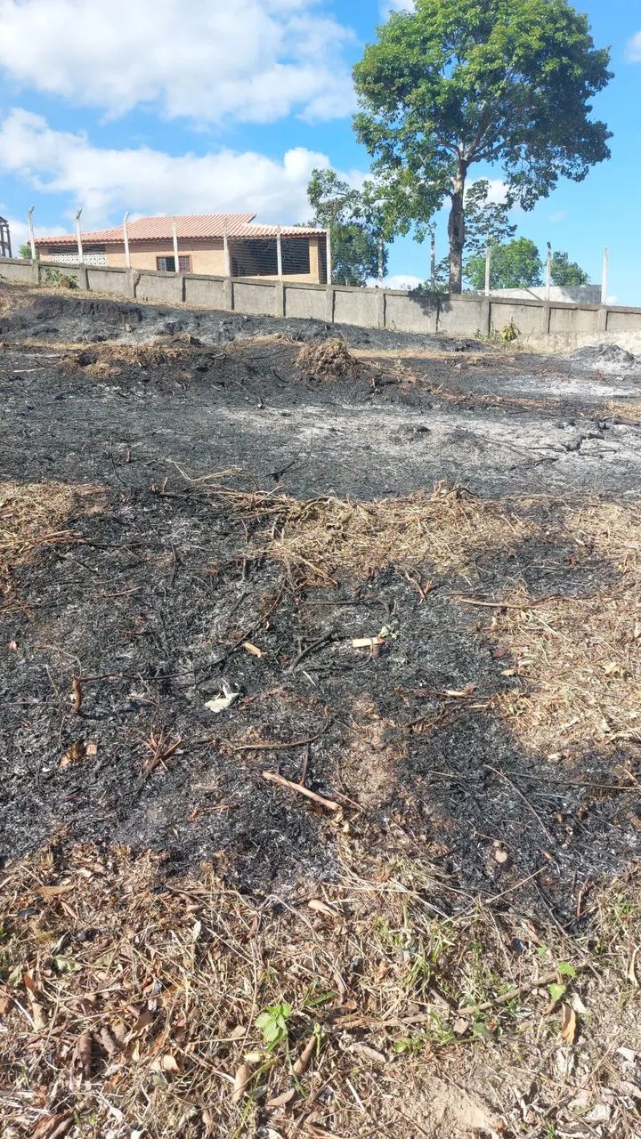 Terreno - Lote - Foto 5