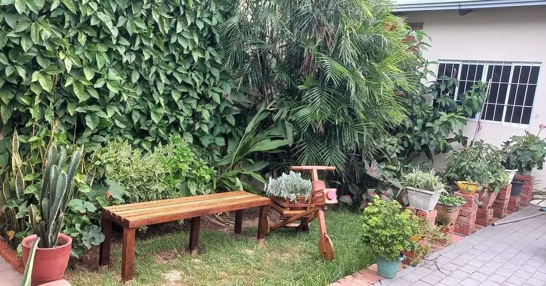 Espaço de atentos Di Pyetro - Foto 3