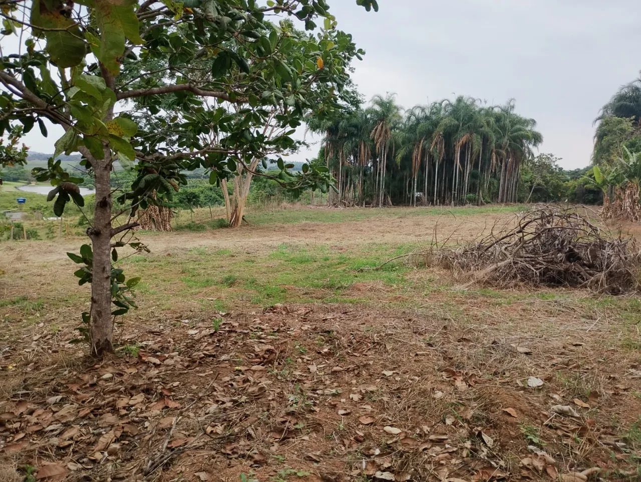 Chácara/Sítio próximo a Nova Veneza - Goiás