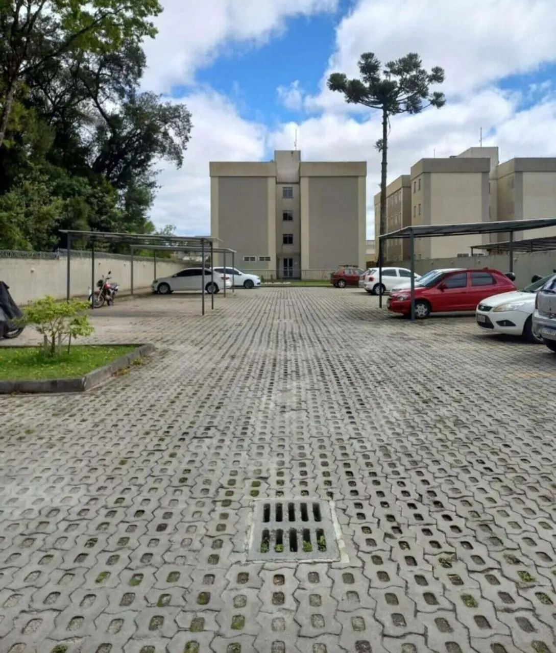 Foto - Colombo - Palmital