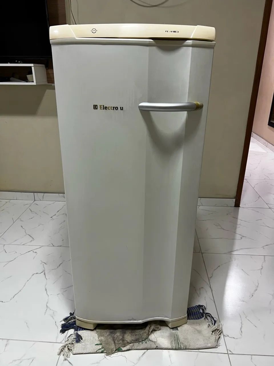 Freezer vertical Electrolux 