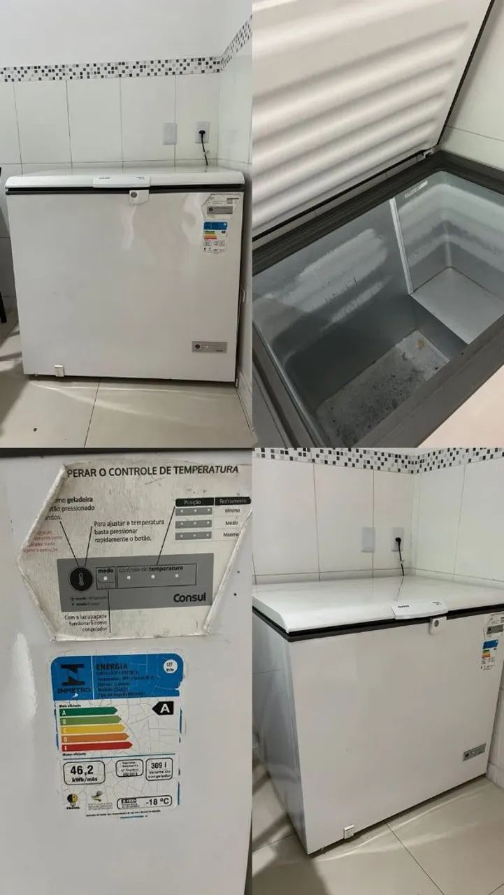 Freezer 309L