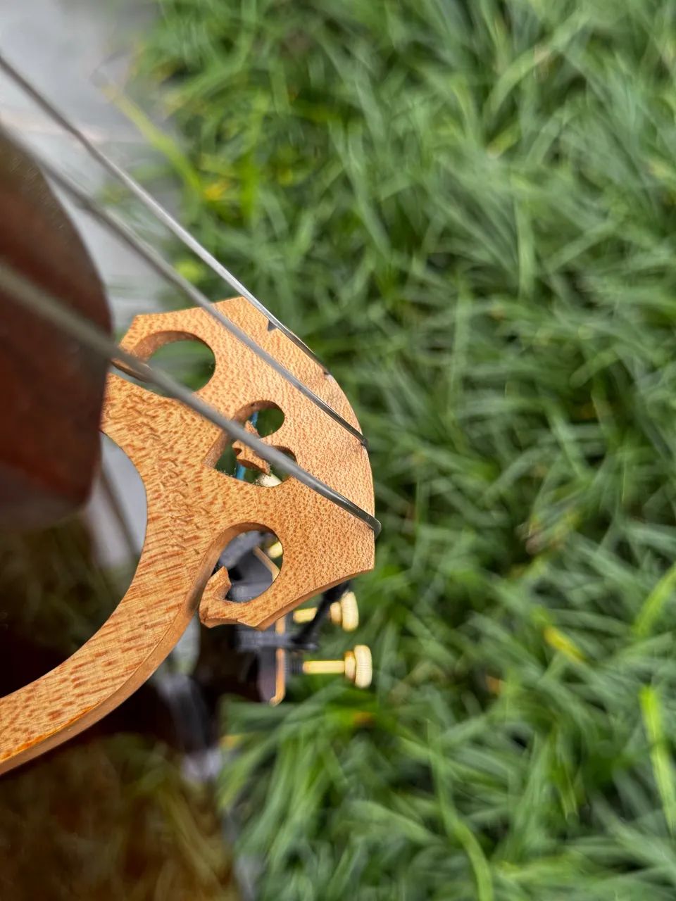 VIOLONCELO-ARTESANAL  - Foto 4