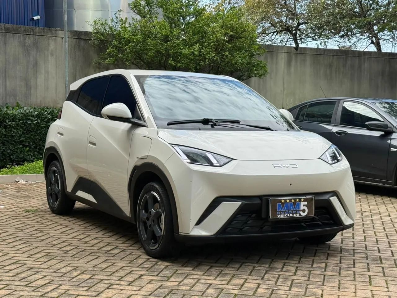 BYD Dolphin Mini (Elétrico) 2025 - Foto 5